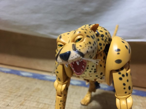 MP 34 Cheetor In Hand Pictures Of Beast Wars Masterpiece Figure 05 (5 of 23)